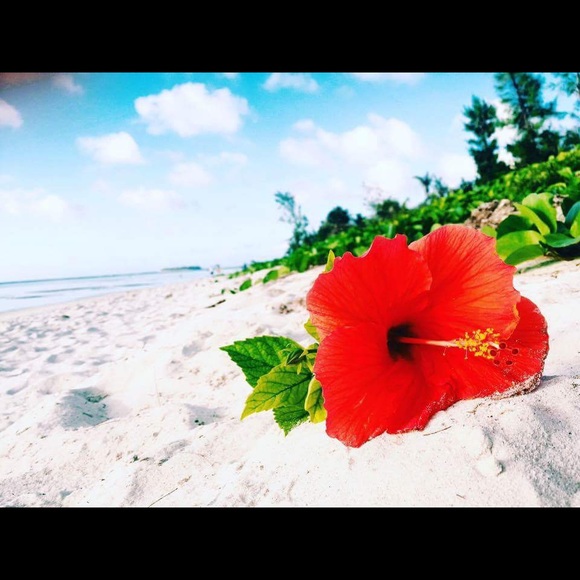 Meet your Posher, Tine - Picture 1 of 1